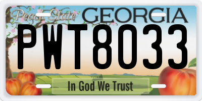 GA license plate PWT8033