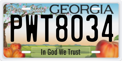 GA license plate PWT8034