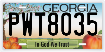 GA license plate PWT8035