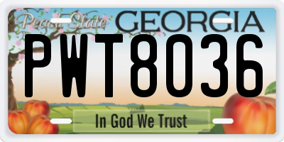 GA license plate PWT8036