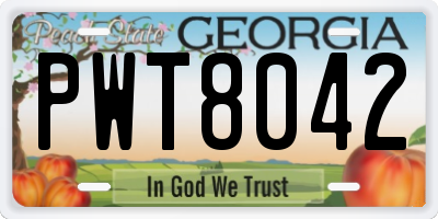 GA license plate PWT8042