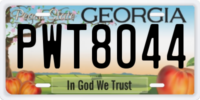 GA license plate PWT8044
