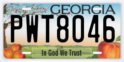 GA license plate PWT8046