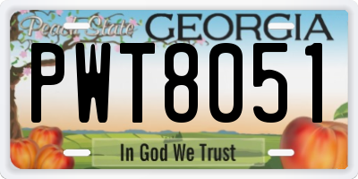 GA license plate PWT8051