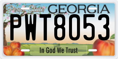 GA license plate PWT8053