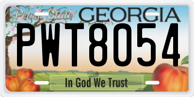 GA license plate PWT8054