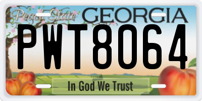 GA license plate PWT8064