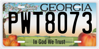 GA license plate PWT8073