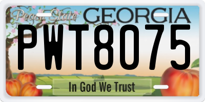 GA license plate PWT8075