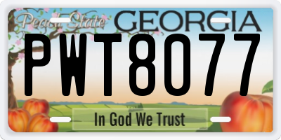 GA license plate PWT8077