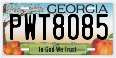 GA license plate PWT8085