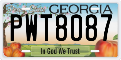 GA license plate PWT8087