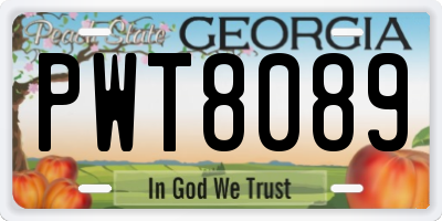 GA license plate PWT8089