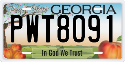 GA license plate PWT8091