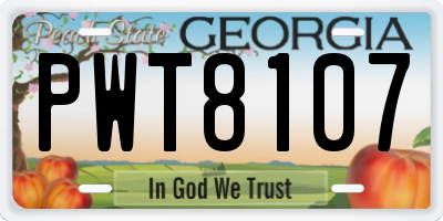 GA license plate PWT8107