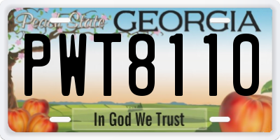 GA license plate PWT8110