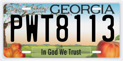 GA license plate PWT8113