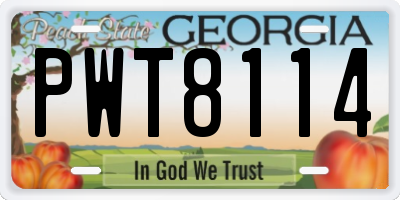 GA license plate PWT8114