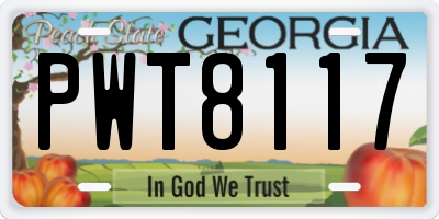 GA license plate PWT8117