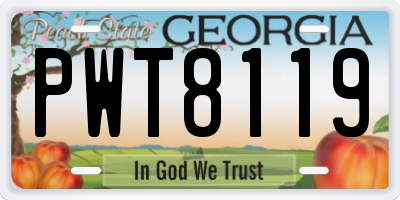 GA license plate PWT8119