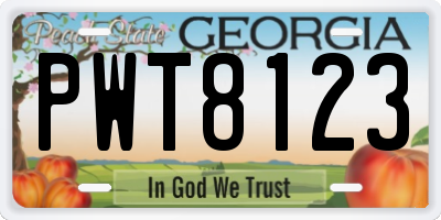 GA license plate PWT8123