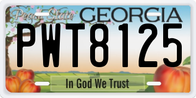 GA license plate PWT8125