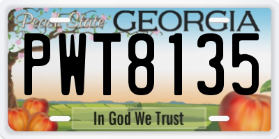 GA license plate PWT8135