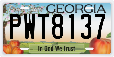 GA license plate PWT8137