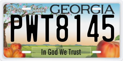 GA license plate PWT8145