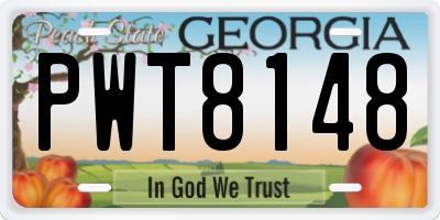 GA license plate PWT8148