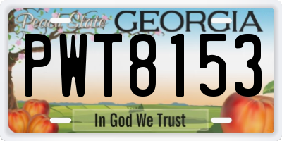 GA license plate PWT8153