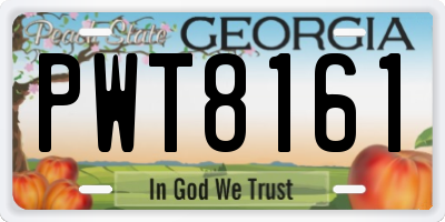GA license plate PWT8161