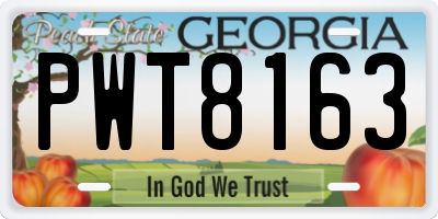 GA license plate PWT8163