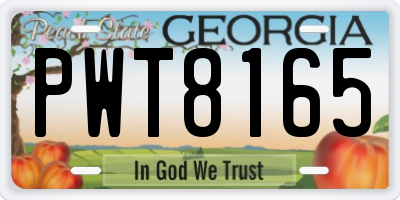 GA license plate PWT8165