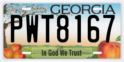 GA license plate PWT8167