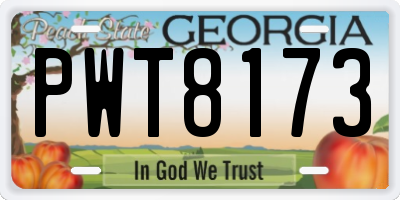 GA license plate PWT8173