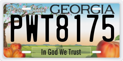 GA license plate PWT8175