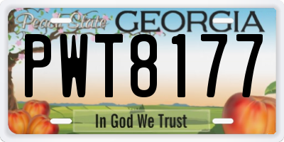 GA license plate PWT8177