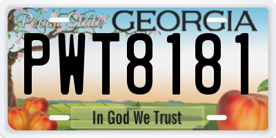 GA license plate PWT8181