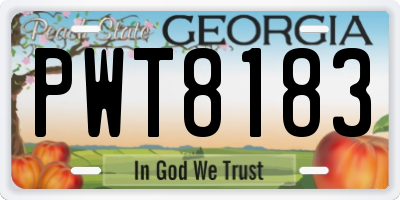 GA license plate PWT8183