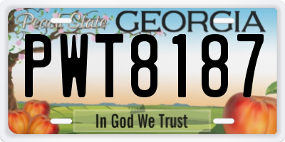 GA license plate PWT8187