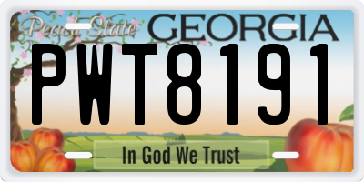 GA license plate PWT8191