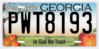 GA license plate PWT8193