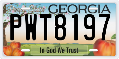 GA license plate PWT8197