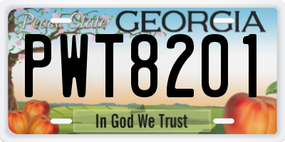 GA license plate PWT8201