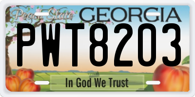 GA license plate PWT8203
