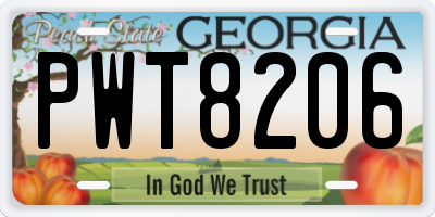 GA license plate PWT8206