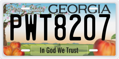 GA license plate PWT8207