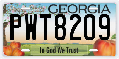 GA license plate PWT8209