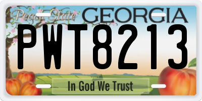 GA license plate PWT8213
